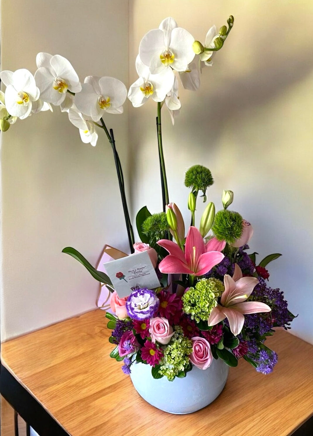 DM 013